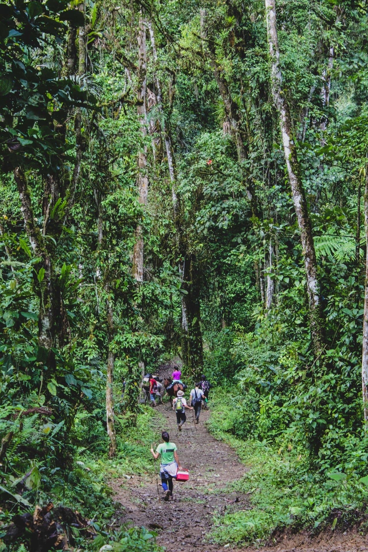 The 2026 Official Guide to Buying Securely in Ecuador 🇪🇨